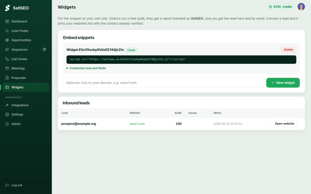 The SellSEO widgets screen where an embeddable audit tool is generated for your own site