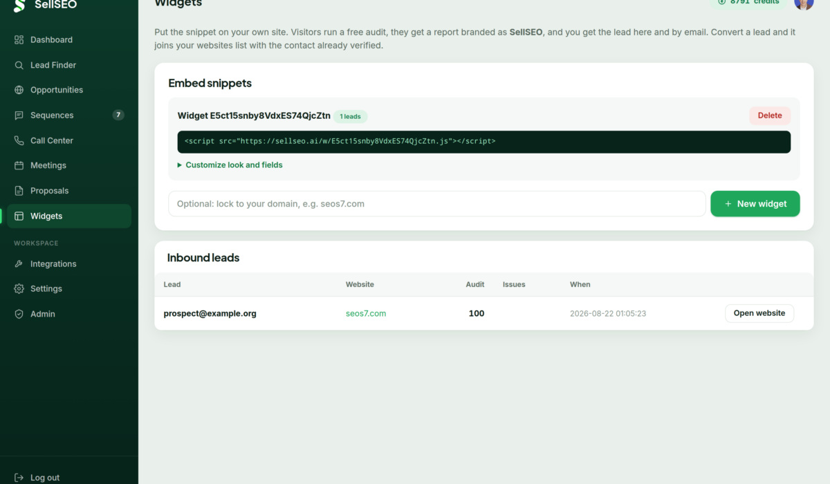 The SellSEO widgets screen where an embeddable audit tool is generated for your own site