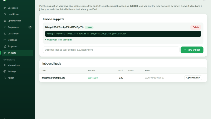 The SellSEO widgets screen where an embeddable audit tool is generated for your own site